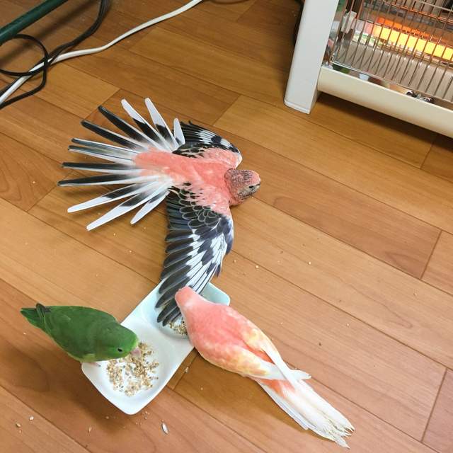 圖片5 圖片5