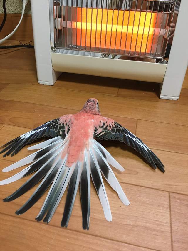 圖片6 圖片6