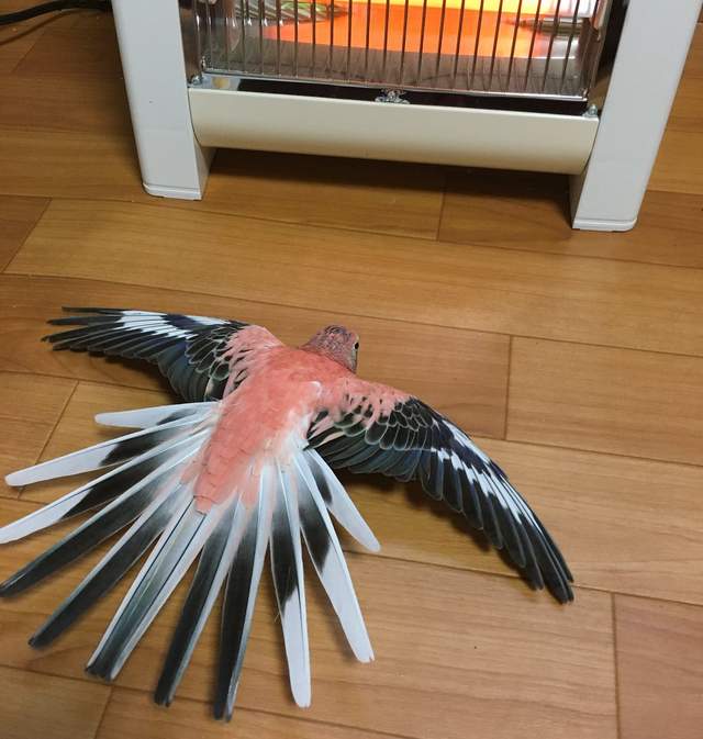 圖片7 圖片7