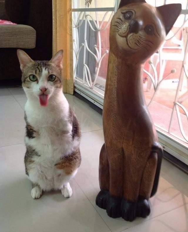 圖片9 圖片9