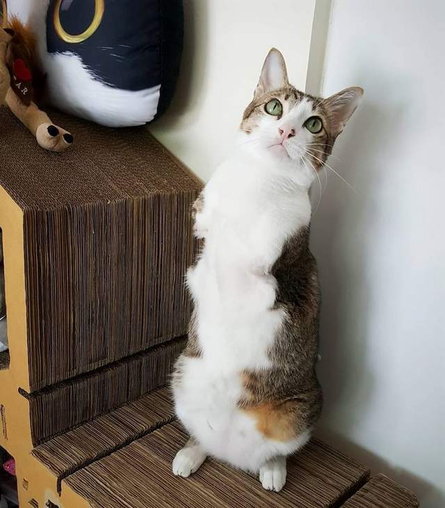 圖片8 圖片8