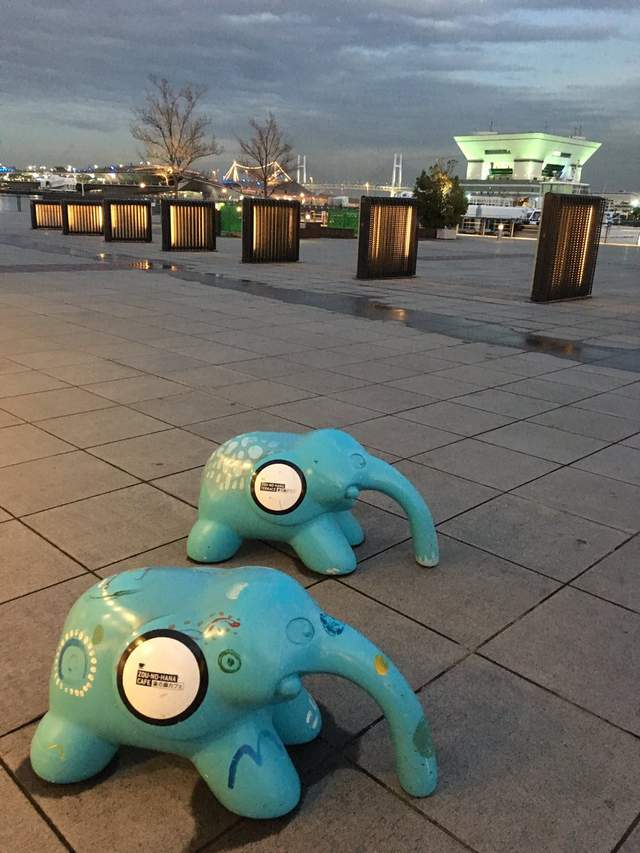 圖片7 圖片7