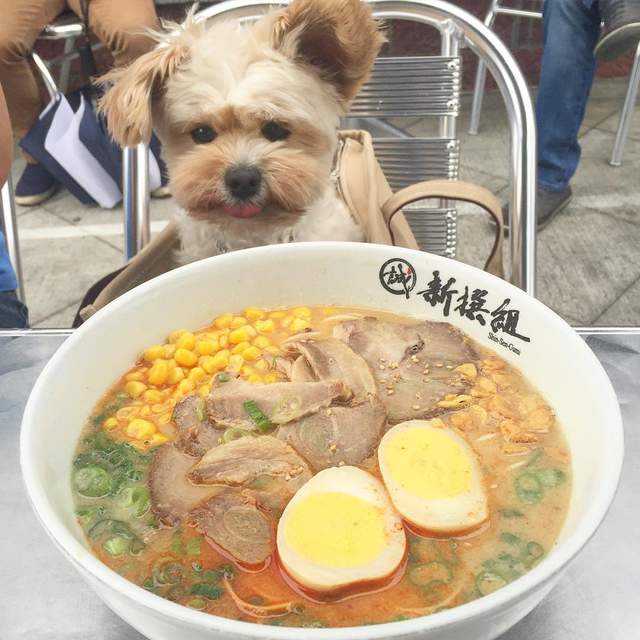 圖片9 圖片9
