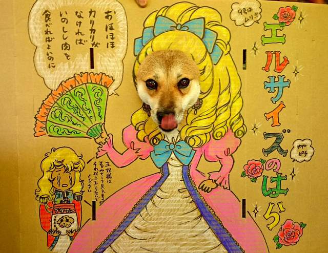 圖片6 圖片6