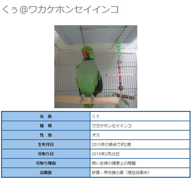 圖片13 圖片13
