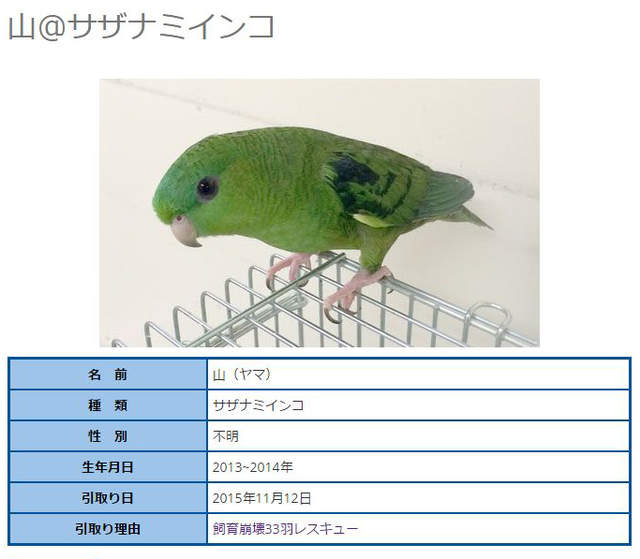 圖片9 圖片9