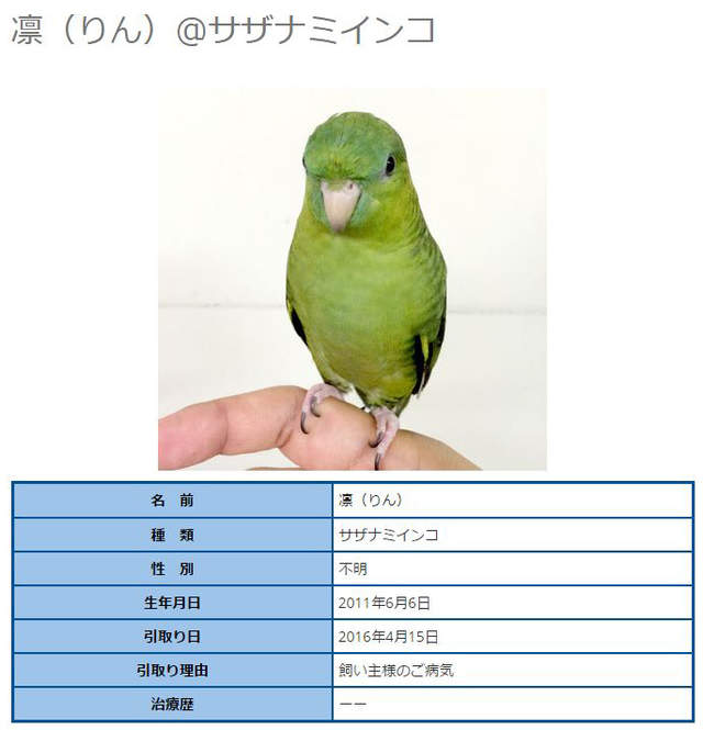 圖片10 圖片10