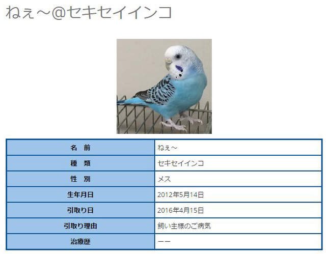 圖片11 圖片11