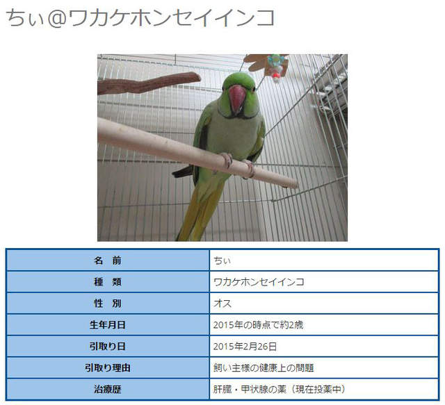 圖片12 圖片12