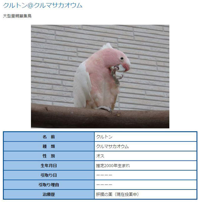 圖片4 圖片4