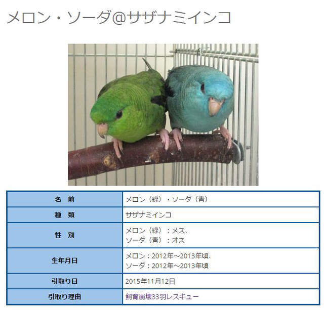 圖片5 圖片5