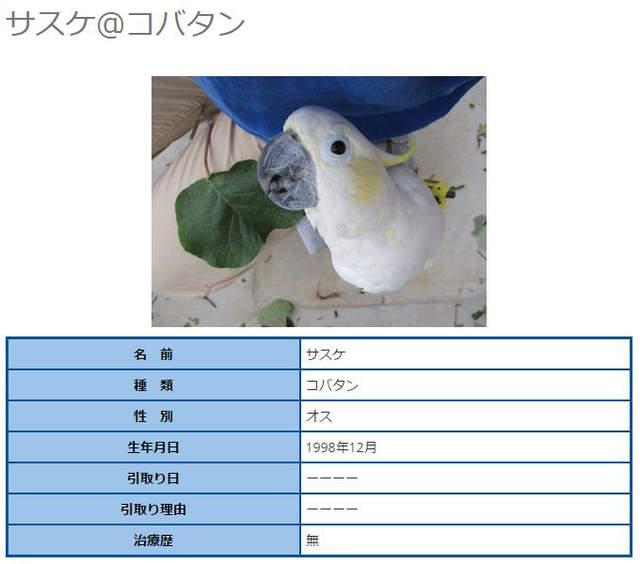 圖片14 圖片14