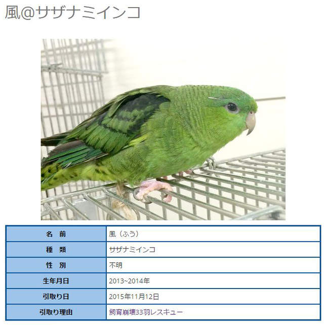 圖片7 圖片7