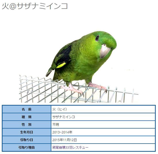 圖片8 圖片8