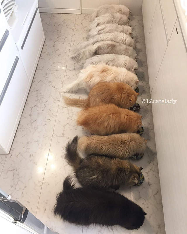 圖片11 圖片11