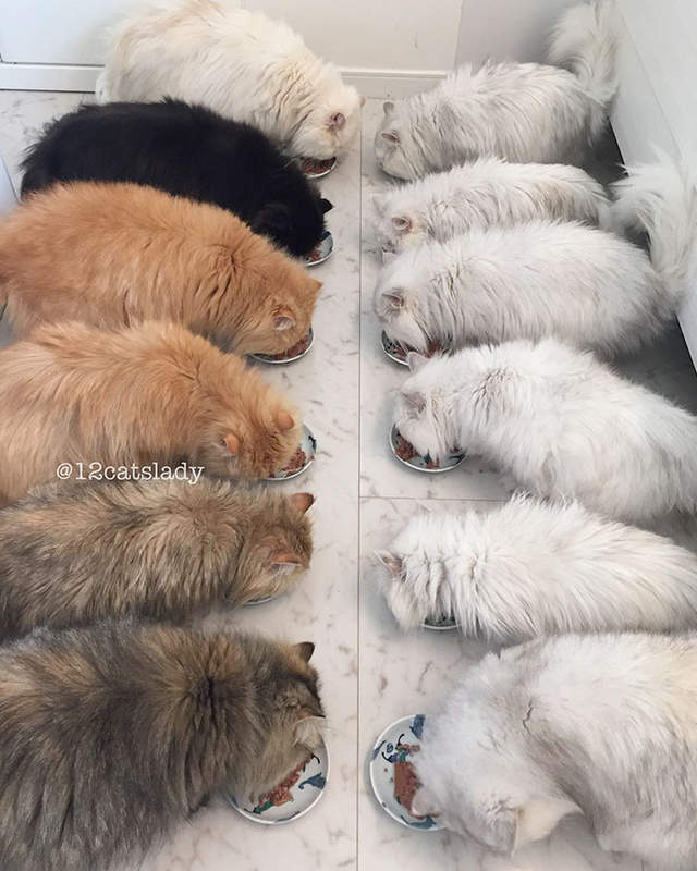 圖片10 圖片10