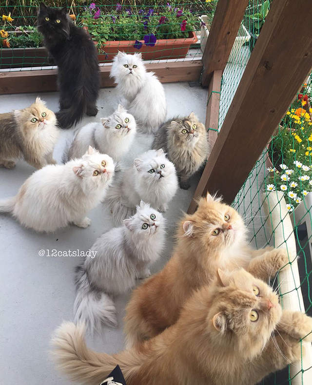 圖片9 圖片9