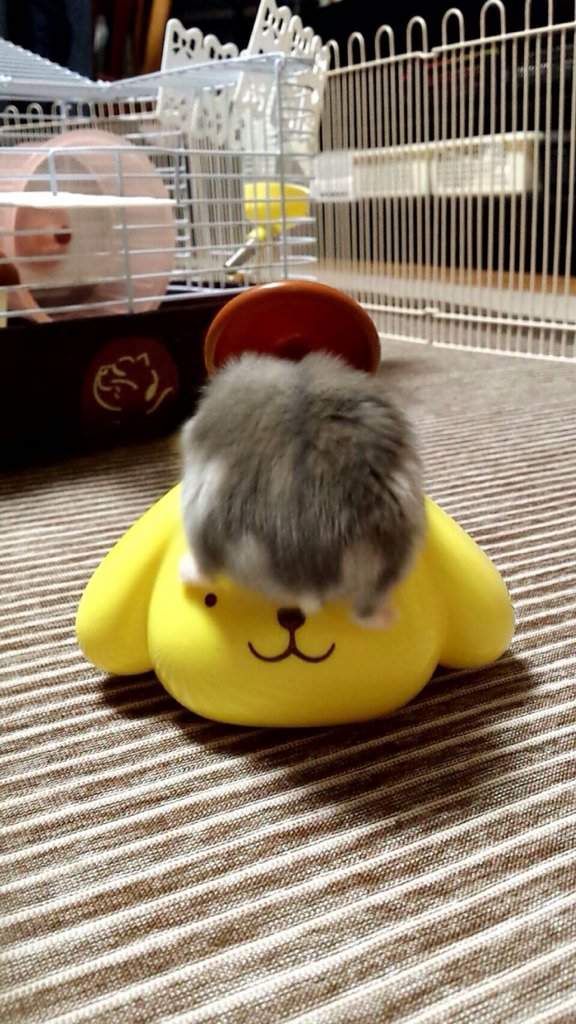 圖片10 圖片10