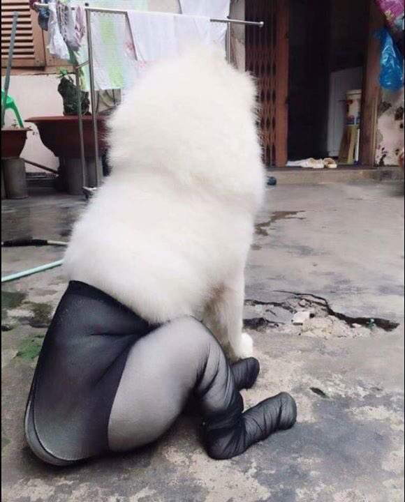 圖片7 圖片7