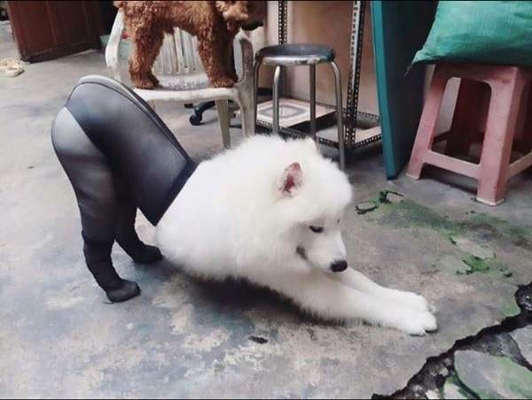 圖片8 圖片8