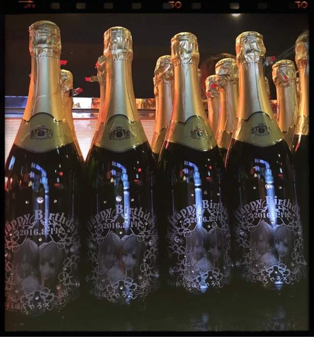 圖片15 圖片15