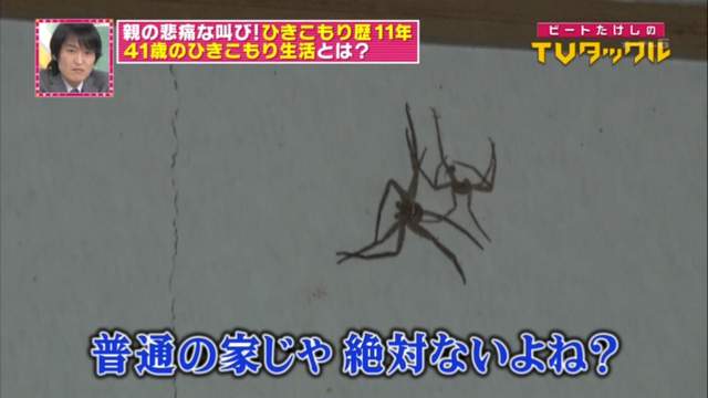 圖片11 圖片11