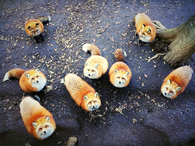 圖片6 圖片6