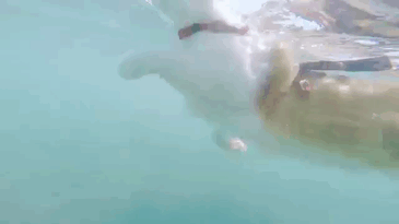 圖片10 圖片10