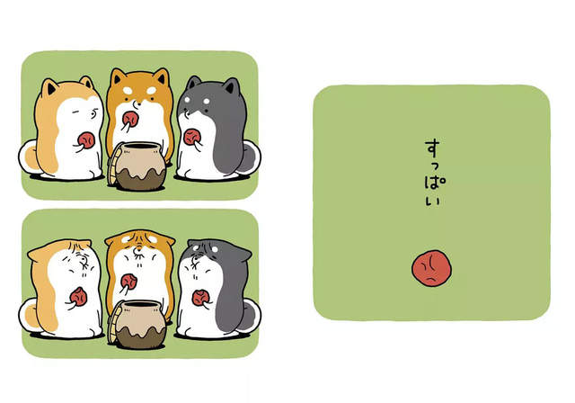 圖片11 圖片11