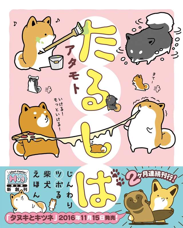 圖片14 圖片14