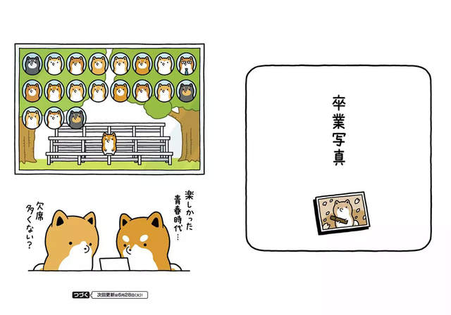 圖片9 圖片9