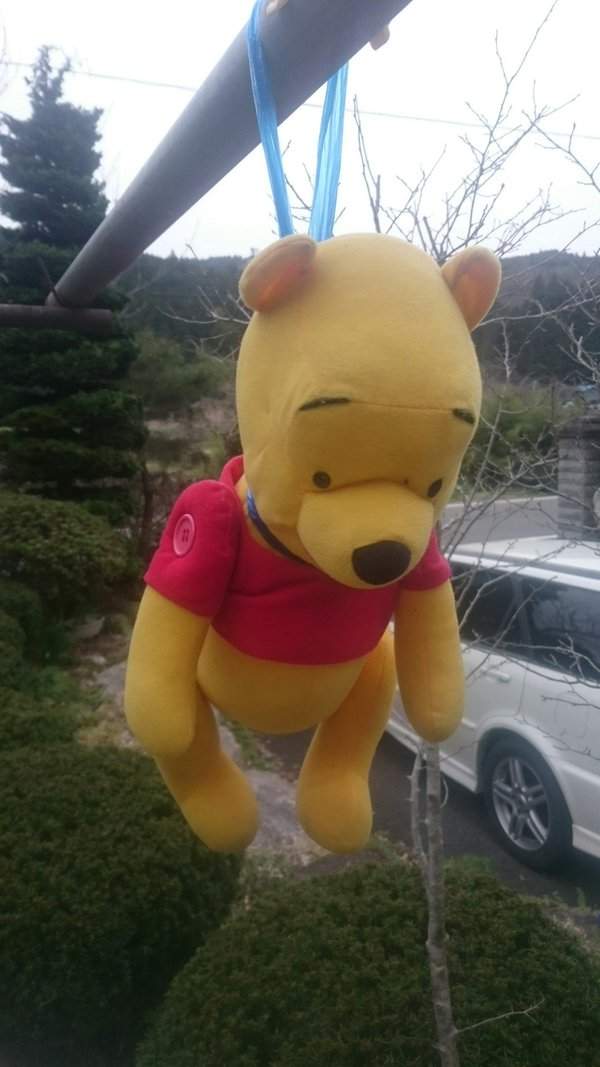 圖片17 圖片17