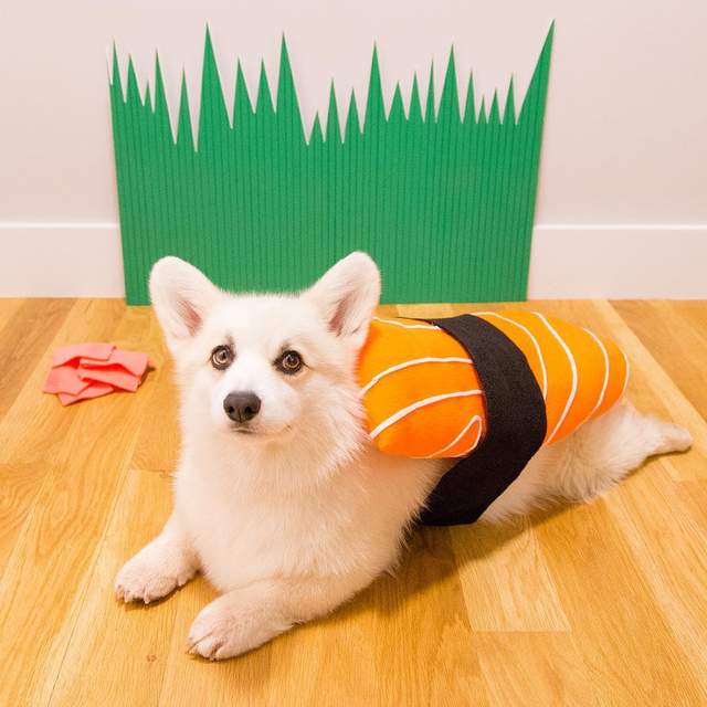圖片4 圖片4