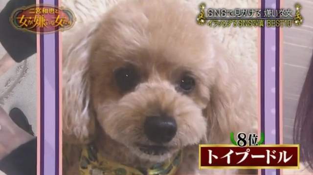 圖片12 圖片12