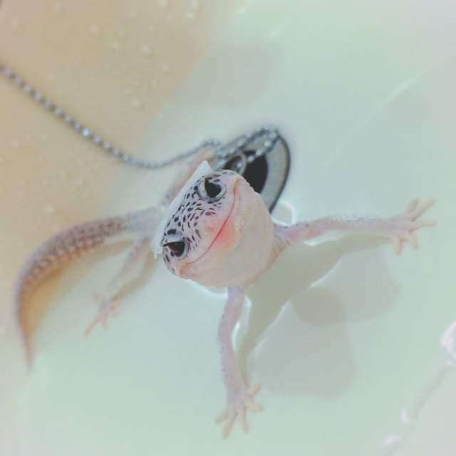 圖片6 圖片6
