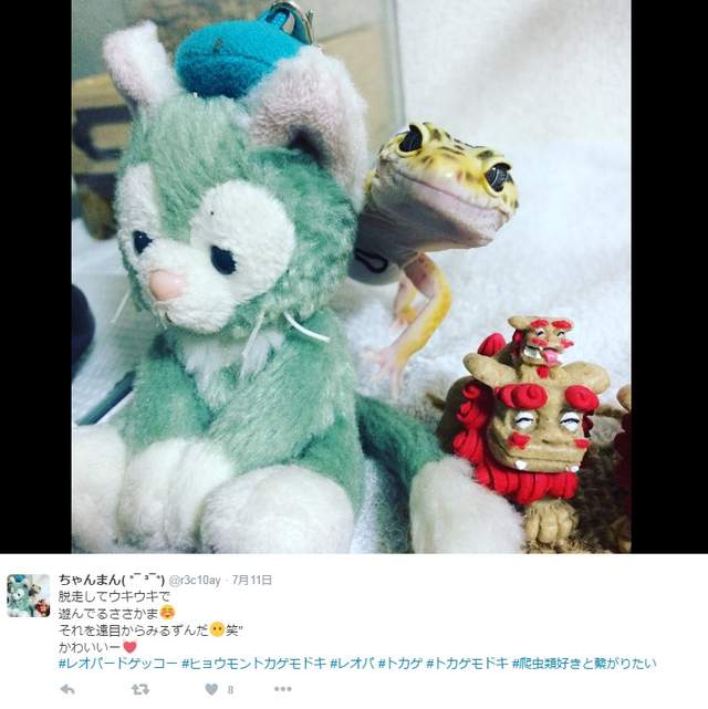 圖片9 圖片9