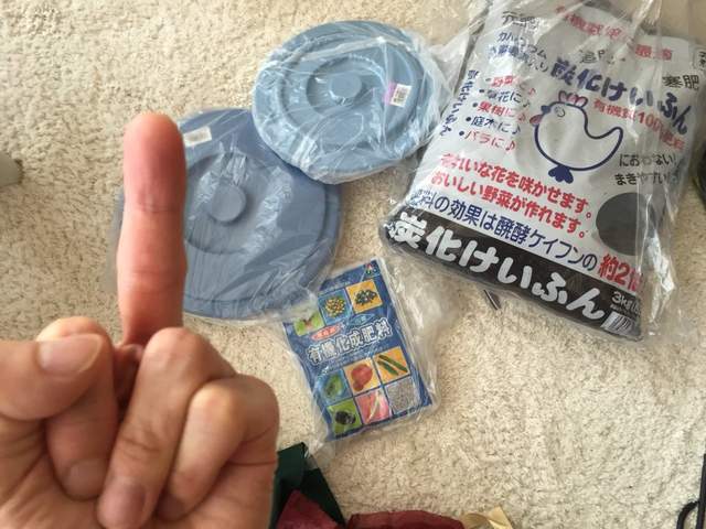 圖片9 圖片9