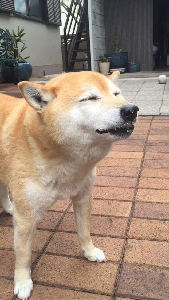 圖片4 圖片4
