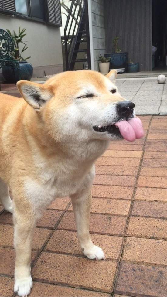 圖片5 圖片5