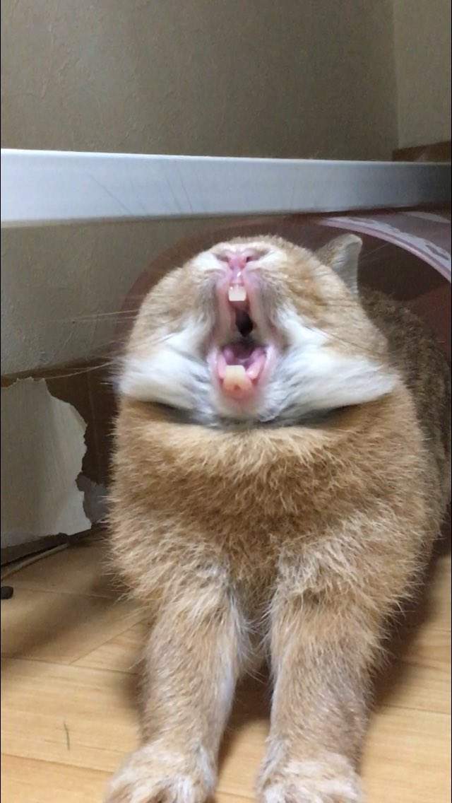 圖片5 圖片5