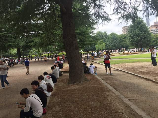 圖片7 圖片7