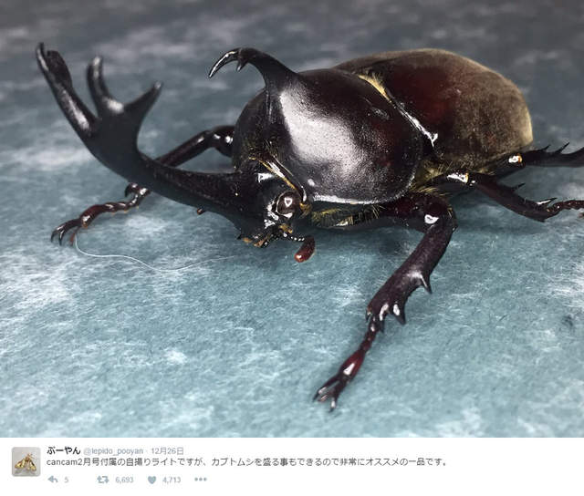 圖片5 圖片5