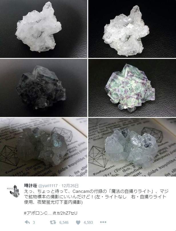 圖片8 圖片8
