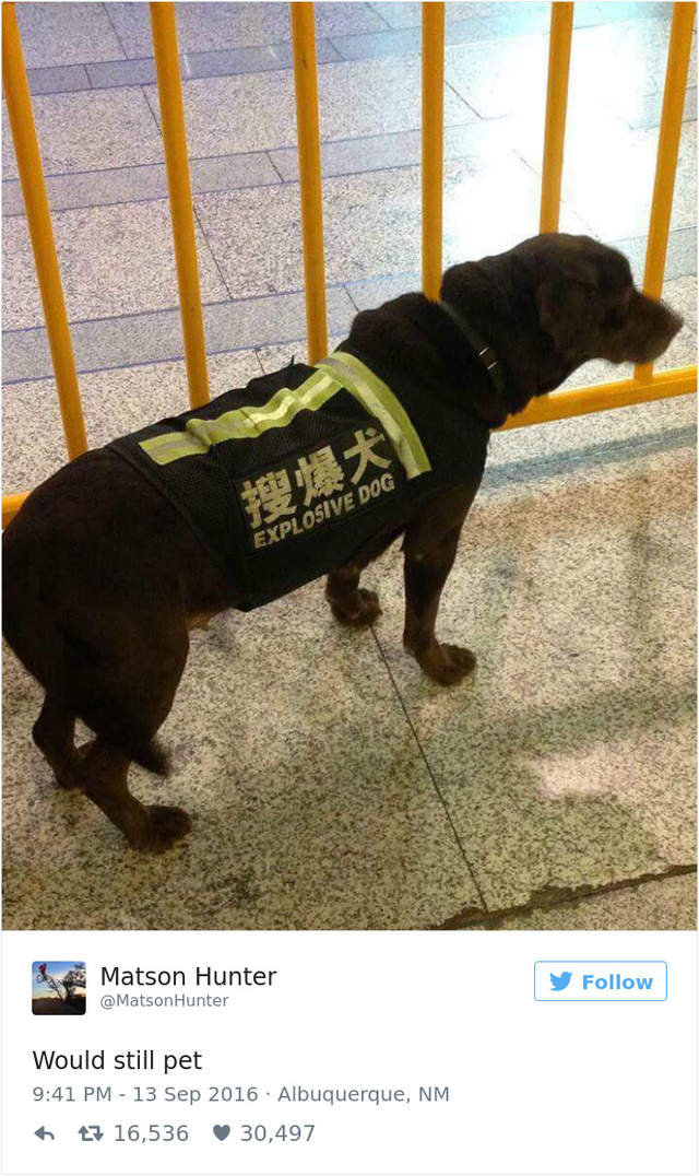圖片18 圖片18