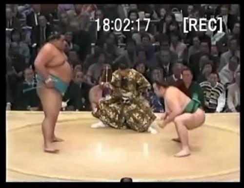 圖片12 圖片12