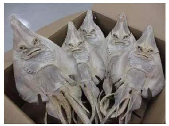 圖片9 圖片9