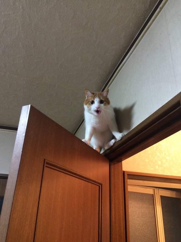 圖片6 圖片6