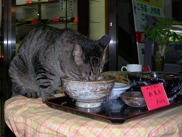 圖片15 圖片15