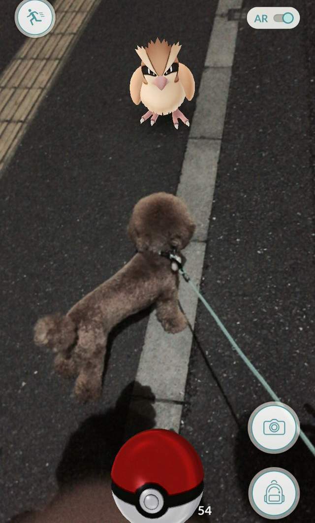 圖片23 圖片23