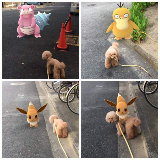 圖片6 圖片6